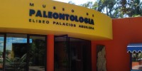 Museo de Paleontología Eliseo Palacios
